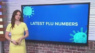Virginia flu cases 