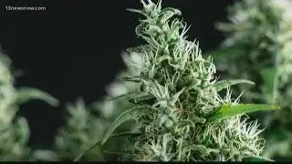 Virginia lawmakers consider decriminalizing marijuana