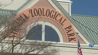Virginia Zoo kicks off 125th anniversary with Noon Year’s Eve event