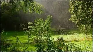 vj loop backdrop video beautiful  barish ki video#vj #vjloop #news
