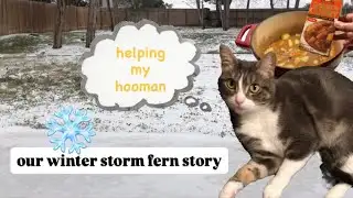 vlogging over 40 | winter storm fern | cooking Japanese curry