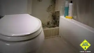 VNN Afternoon Forecast: Tracking midweek showers and dangerous late week cold