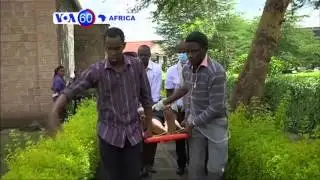 VOA60 AFRICA - NOVEMBER 30, 2015