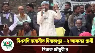 দিনাজপুর-২ আসনে পিনাক চৌধুরীর ধানের শীষের পক্ষে গণসংযোগ | VOD Bangla News