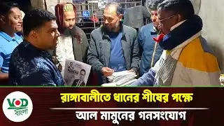 রাঙ্গাবালীতে ধানের শীষের পক্ষে আল মামুনের গণসংযোগ | VOD Bangla News