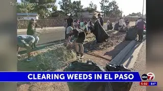 Volunteers from local schools and non-profits help pull weeds from city medians
