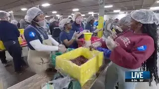 Volunteers pack boxes during Million Meals for MLK