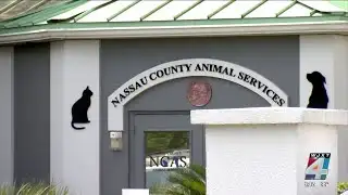 Volunteers speak out after Nassau County Animal Services shelter terminations
