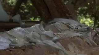 Volunteers start on two-day-long Alisal Fire cleanup project