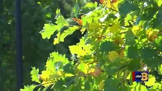 VSP says interstate shootings are down despite public concern