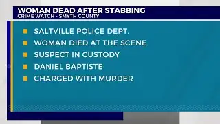 VSP: Woman dead after stabbing in Smyth County, suspect in custody