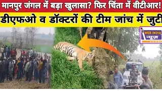 VTR Tiger Death |मानपुर जंगल में बाघ की संदिग्ध परिस्थितियों में मौत।नदी किनारे मिला बाघ पूरी..