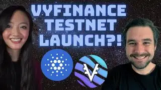 VYFINANCE CEO Interview | CARDANO DEX