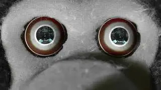 Waiting for Half-Life 3...