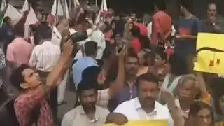 Walayar Rape Case: BJP Stages 100-Hour Protest, Alleges Lapses By Left Government