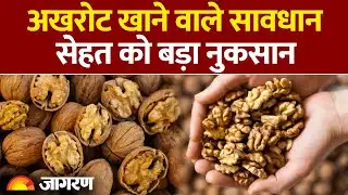 Walnut Side Effect: अखरोट खाने वाले सावधान, सेहत को बड़ा नुकसान| Hindi News| Walnut Benefits