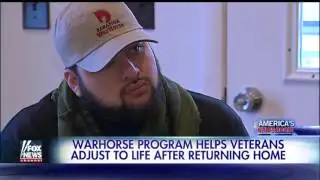 Warhorse program helps veterans struggling with PTSD