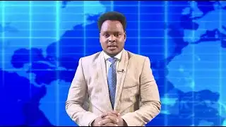 Warka Universal TV 04 01 2026