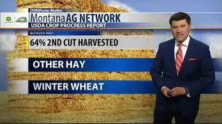 Warm and dry start to the work week