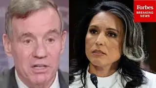 Warner Claims Tulsi Gabbard Will Testify To Senate Intel Committee 
