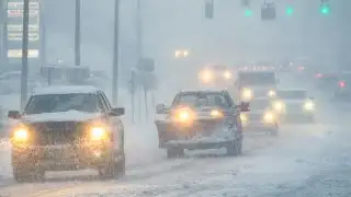⚠️ WARNING: 50cm Snow + 100km/h Winds Slam Newfoundland! Multi-Hazard Storm Underway