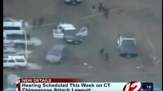 Warning signs ignored in chimpanzee attack