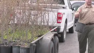 Washington County hosts community-oriented tree giveaway
