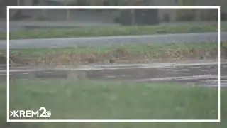 Washington Governor Bob Ferguson requests major disaster declaration following flooding