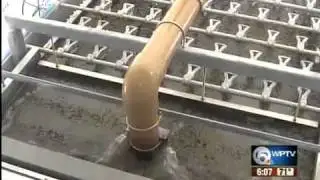 Wastewater plant causing a stink