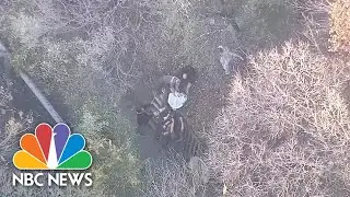 Watch: Aerials show missing clouded leopard recovered at Dallas Zoo