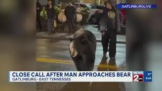 WATCH: Close call after man approaches bear in Gatlinburg