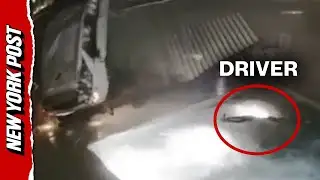 WATCH: Insane Moment Car Flips Over Fence and EJECTS Driver into Pool