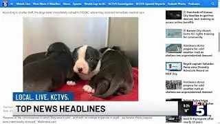 WATCH: KCTV5+ News Update