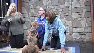 WATCH LIVE: Furry Friends!