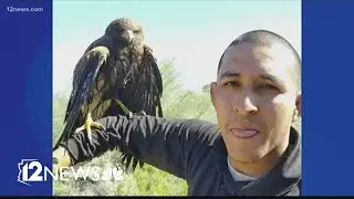 WATCH: Pest control tech rescues hawk from Valley pool drain
