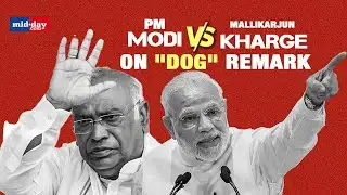 Watch: PM Modi’s Reply On Mallikarjun Kharge