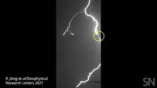 Watch the split second a flash of lightning forms | Science News
