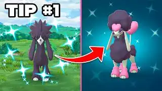 Watch This Before Pokémon GO’s Valentine’s Event