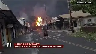 WATCH: Wildfire destroys much of Hawaii community, how you can help