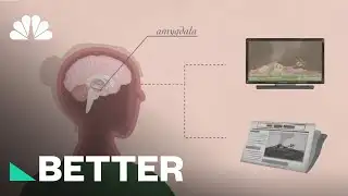 Watching Bad News Can Be Good For Your Brain | Better | NBC News
