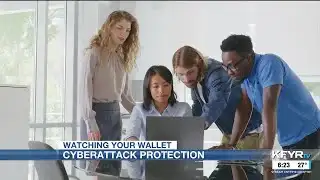 Watching Your Wallet: Cyberattack protection
