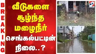 Water Clog | Chengalpattu | வீடுகளை சூழ்ந்த மழை நீர் - செங்கல்பட்டின் நிலை..?