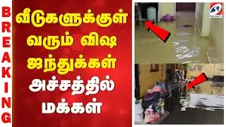 Water Clog | Ditwah | வீடுகளுக்குள் வரும் விஷ ஜந்துக்கள் - அச்சத்தில் மக்கள்