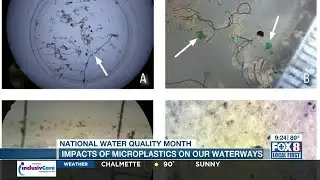 Water Conservancy Month: Microplastics in your body