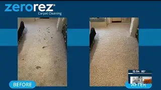 WAVE Listens Live! Zerorez, April 22nd, 2024