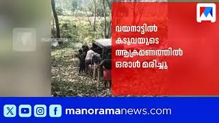 വയനാട്ടിൽ കടുവയുടെ ആക്രമണത്തിൽ ഒരാൾ മരിച്ചു; മൃതദേഹം വനത്തിനുള്ളിൽ കണ്ടെത്തി ​| Wayanad ​| Tiger