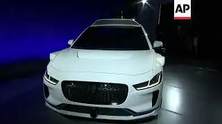 Waymo Says Its Driverless Technology Is Safe