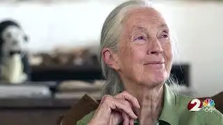 WDTN Live Interview: Remembering Jane Goodall