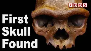 We Finally Know What The Denisovan Humans Looked Like