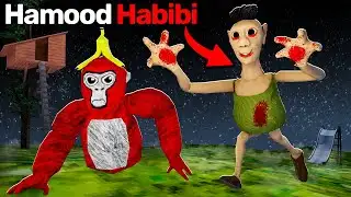 We Found HAMOOD HABIBI In Gorilla Tag